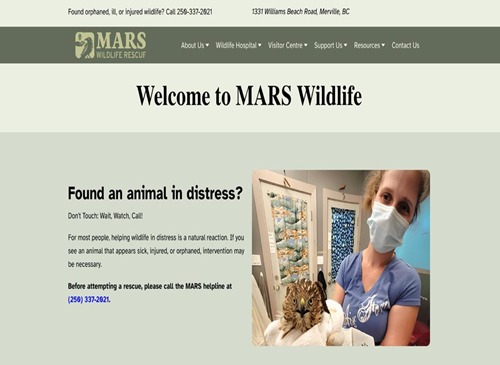 Mars website
